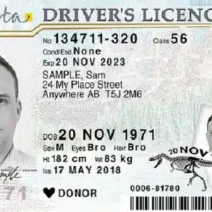 Alberta Driver's License and ID Card