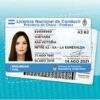 Argentina Fake Driver's License for Sale