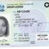 Bahamas Driver's License