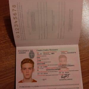 Fake Mexican Passport