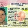 Buy Georgia Driver License and ID Cards
