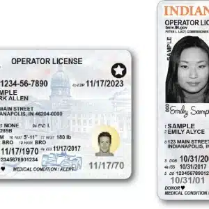 Indiana Driver's License and ID Card