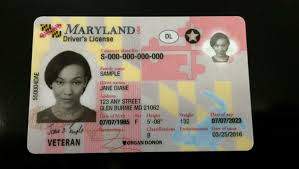 Buy Maryland Driver License and ID Cards