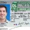 Buy Mississippi Driver License and ID Cards