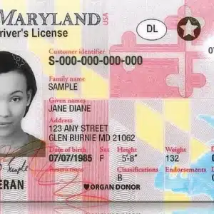 Maryland Driver's License and ID Card
