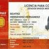 Mexico Driver's License