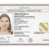 Mexico Fake Driver's License for Sale