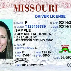 Missouri Driver's License and ID Card