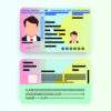 Fake ID Card of Netherlands