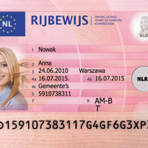 Netherlands Fake Driver's License for Sale