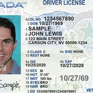 Nevada Driver's License and ID Card