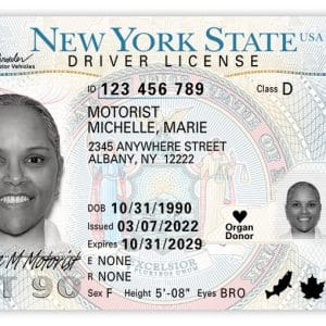 New York Driver's License  and ID Card