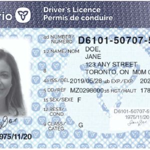 Ontario Driver's License and ID Card