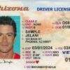 Arizona real and fake driver's license for sale