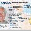 Arkansas fake driver's license for sale