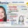California fake driver's license for sale