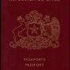 Fake Chile Passport