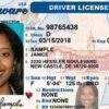 Buy Delaware Driver License and ID Cards