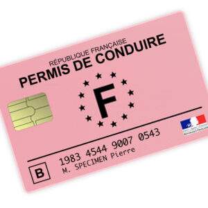 France Fake Driver's License for Sale
