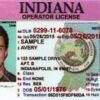 Buy Indiana Driver License and ID Cards