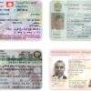 Iraq Driver's License