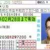 Japan Driver's License