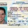 Buy Louisiana Driver License and ID Cards