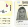  Buy Fake ID Card of Luxembourg