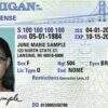 Buy Michigan Driver License and ID Cards