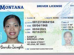 Buy Montana Driver License  and ID Cards
