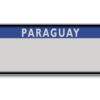 Paraguay driver's License