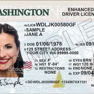 Real US Driver's License
