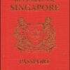 Fake Singapore Passport