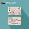 United Arab Emirates Fake Driver's License for Sale